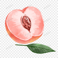 WWW,se205·COM网站APP图片