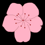 9.1九.APPAPP应用