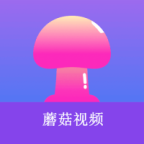 9.1黄金网站免费版APP应用